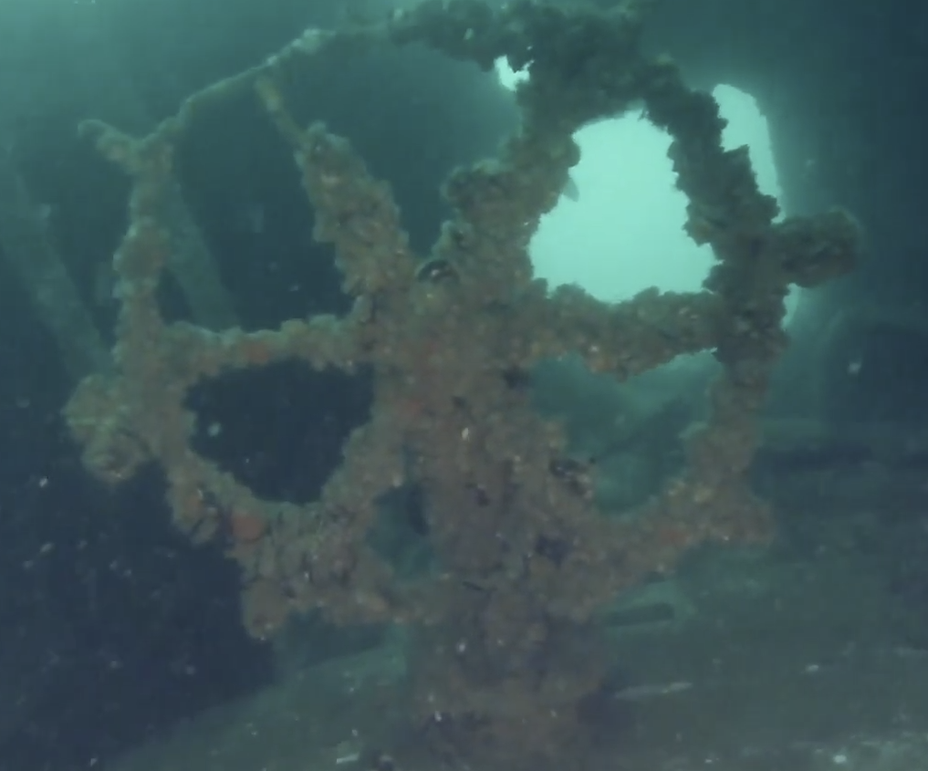 The Blue-RoSES Project: a Gate for Remote Exploration of the Seas